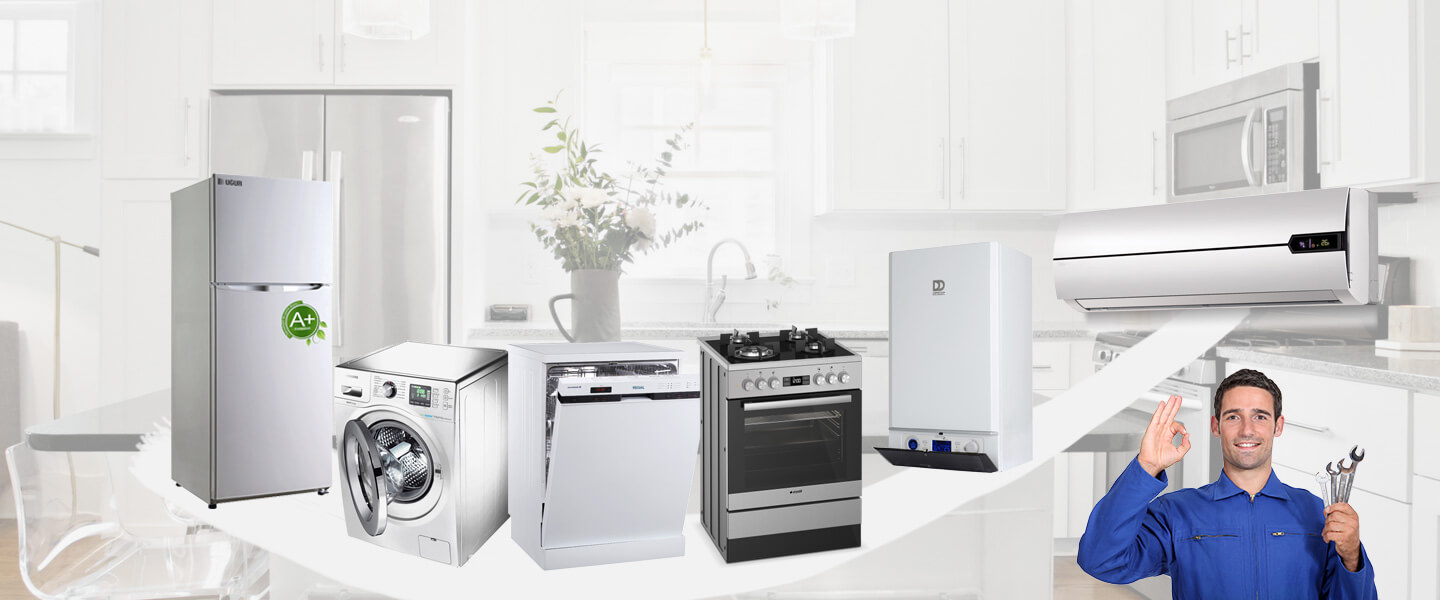 Çilimli Warmhaus Servisi